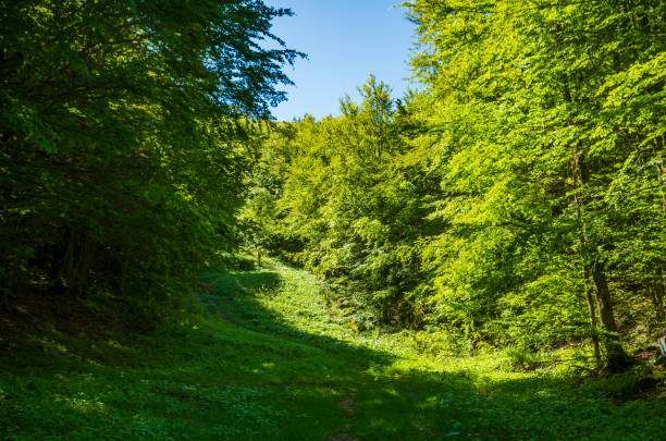 The Corno alle Scale Park in the Apennines in spring