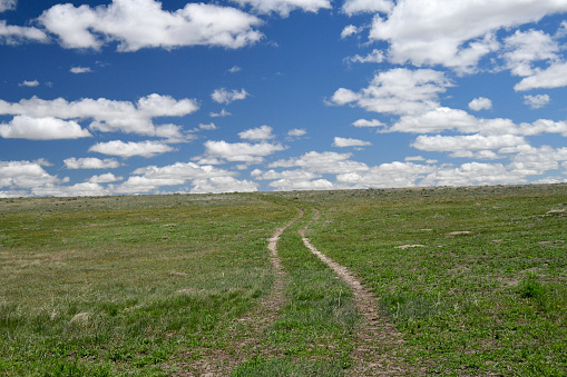 Path Less Followed The Path Less Travelled Stock Photo - Download Image Now - Agriculture ...
