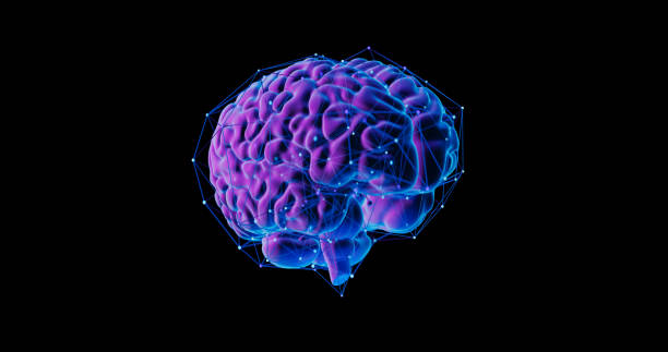 istock Human Brain X-Ray: Anatomy, Medicine and Science concept 2156094030