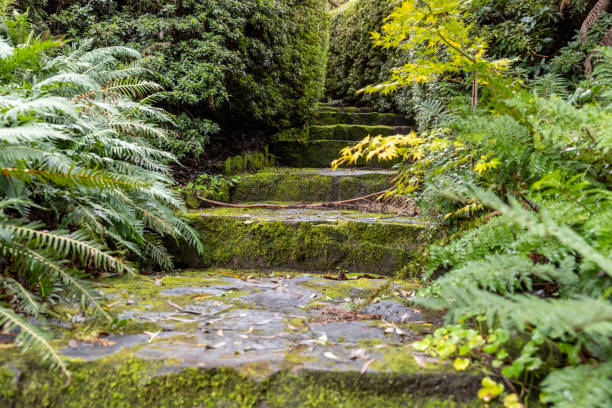 Closeup old stone steps in the park, background with copy space, full frame horizontal composition