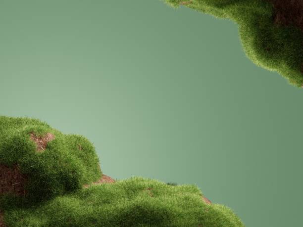 Presentation product podium stage mockup with natural nature element, wood, grass