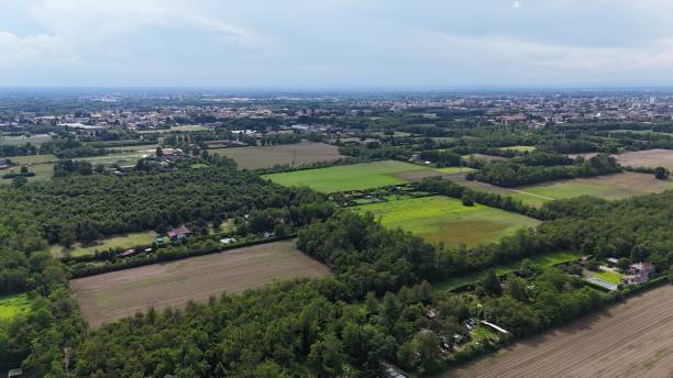 istock forest near a city 2156097318