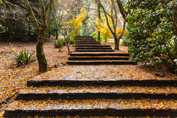 Old stone steps in the park covered with dry leafs in Autumn, background with copy space, full frame horizontal composition