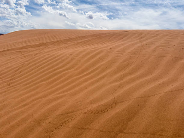 Undulating golden sand dunes stretch out under a vast, partly cloudy sky. The fine sand forms intricate ripples and patterns, creating a textured landscape that captures the beauty and tranquility of the desert. The clear, expansive sky adds depth to the scene, making it a perfect image for themes related to nature, travel, and the serene beauty of desert landscapes