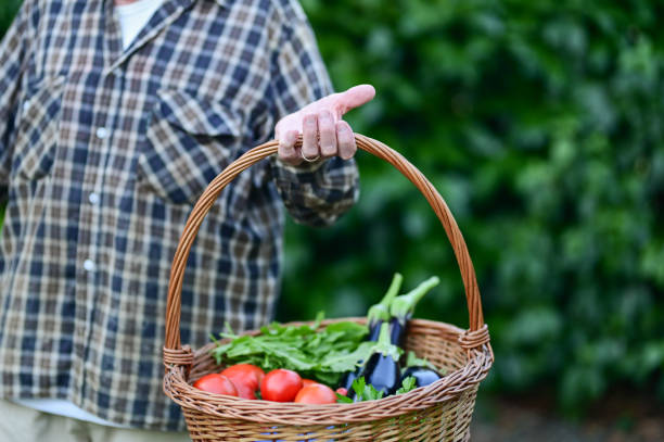 farm to table.