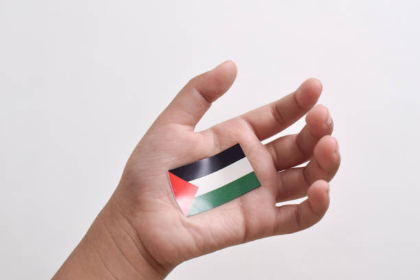 Palestine flag in a child's hand isolated on white background.