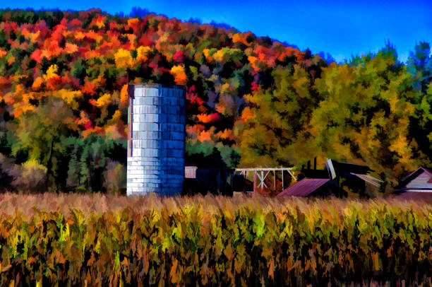 istock Abandoned Farm in Autumn 2156110472