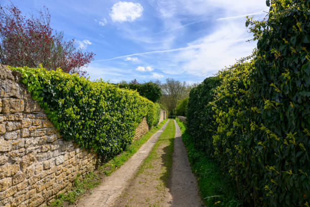 Camera: Hasselblad Y2D 100C - 45 MP-Sensor / Location: Lower Saxony, Germany