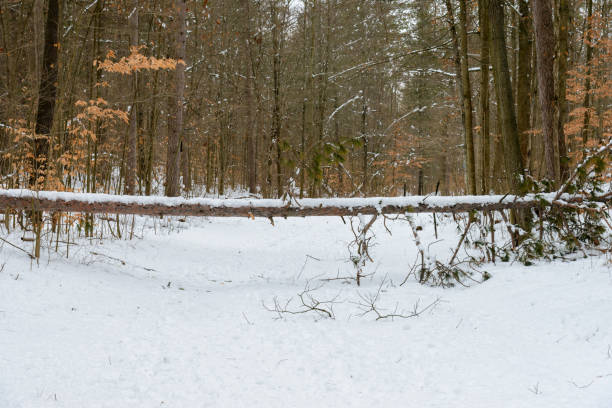 Hiking is a loved recreational activity in Ontario, Canada.