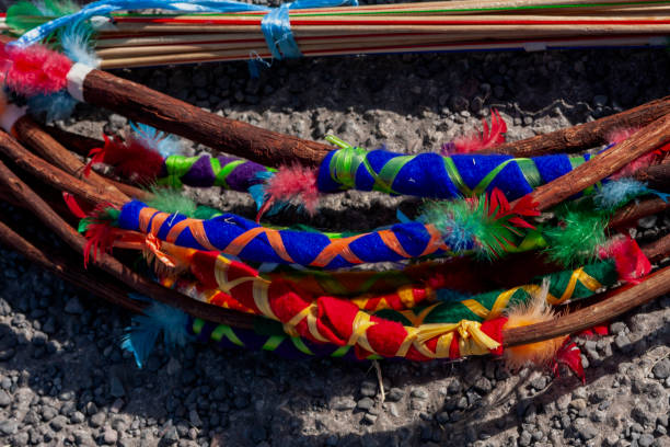 Bunches of different colored dried rice plants