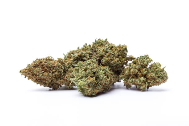 istock Marijuana flowers isolated on white background 2156112150