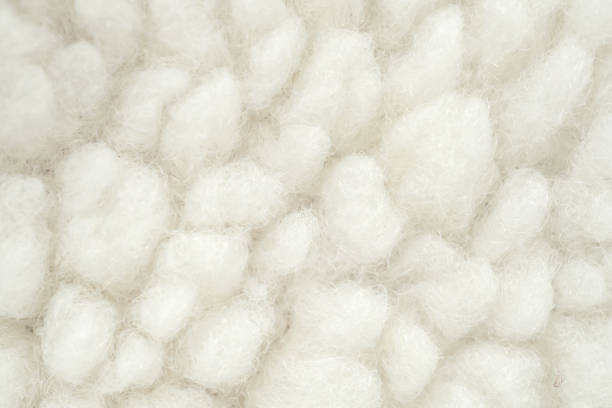 istock Wool plush fleece fur fabric texture background 2156113654