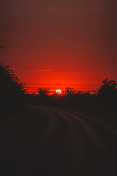 This stunning photo captures a vibrant sunset over a winding road in Kruger National Park. The fiery red and orange hues of the sky create a dramatic and serene scene, perfect for capturing the essence of an African evening.