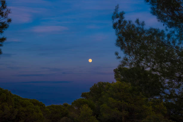 A yellow moon rises over mountains and forests on an autumn evening.