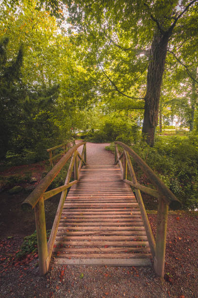 istock A wood bridge in Germany 2156125710