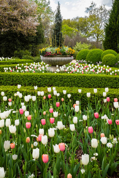 Atlanta Botanical Garden