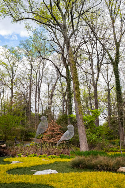 Atlanta Botanical Garden