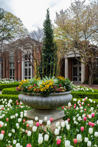 Atlanta Botanical Garden landscape in Georgia