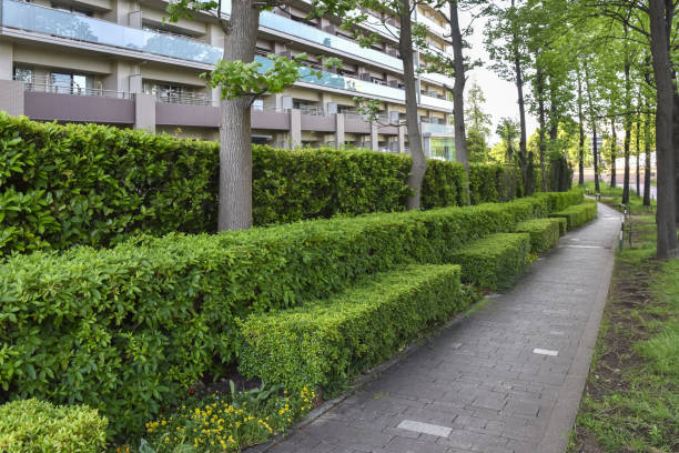 istock Residential area promenade 2156130791