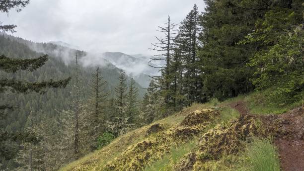 istock Rain and clouds over a pine covered mountain range behind a hiking trail along the ridge 2156131068