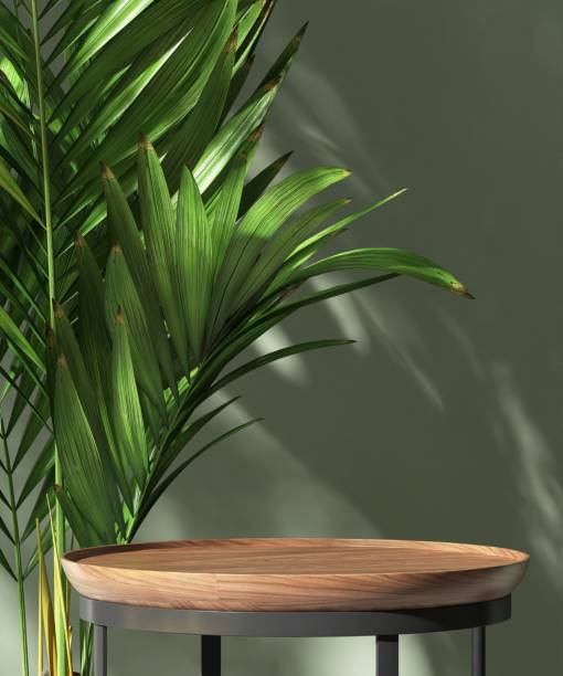 istock Round wooden brown table podium, tropical palm tree in dappled sunlight on green wall 2156131821