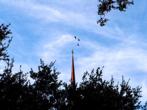 Church exterior in Florida