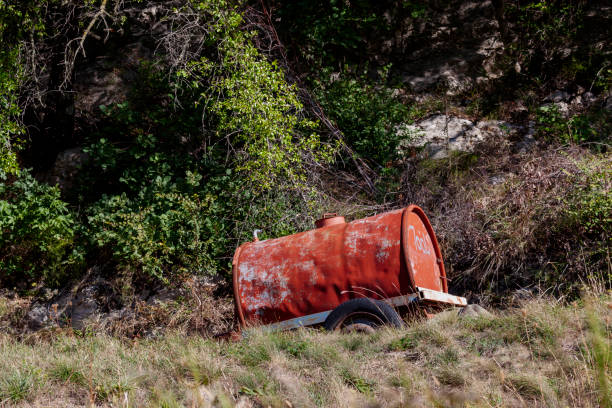 istock Olive Farm in Koper, Slovenia 2156139833