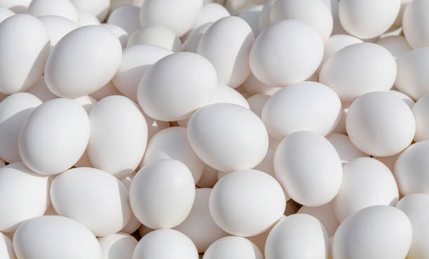 Pile of white eggs in market