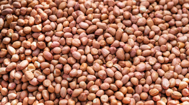 istock Heap of fresh peeled peanuts 2156139978