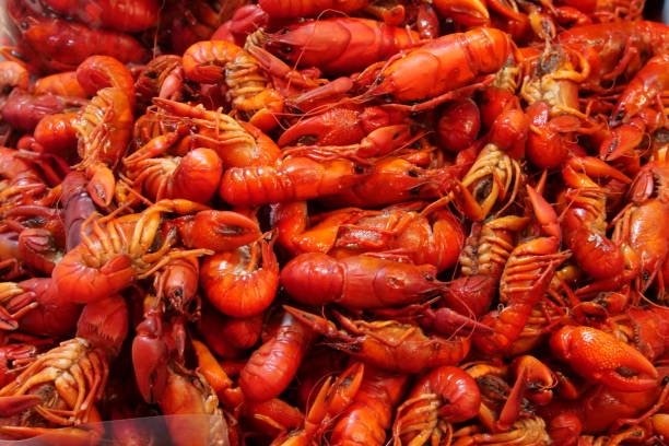 istock Deep orange prawns stacked together close up. 2156142571