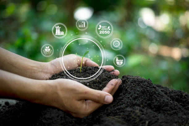 istock Hands care a growing seedling Net zero and carbon neutral concept Net-zero greenhouse gas emissions target by 2050. Long-term strategy for climate neutrality, reducing greenhouse gases, change world. 2156147339