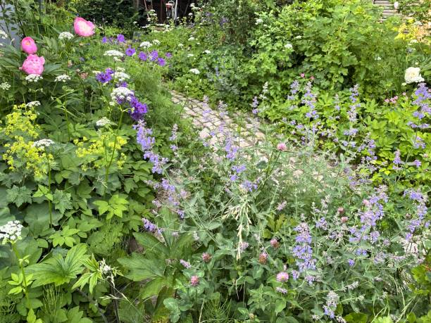A novel gardening approach: blending perennials with weeds