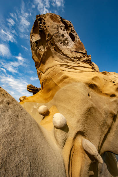 Texture of a round stone on sandstone on the seashore - 1st degree protected area - Big bony nose