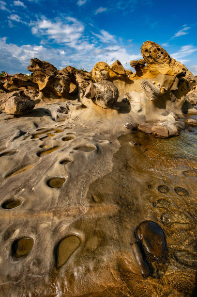 istock Perforated texture of the cliff on the seashore 2156152654