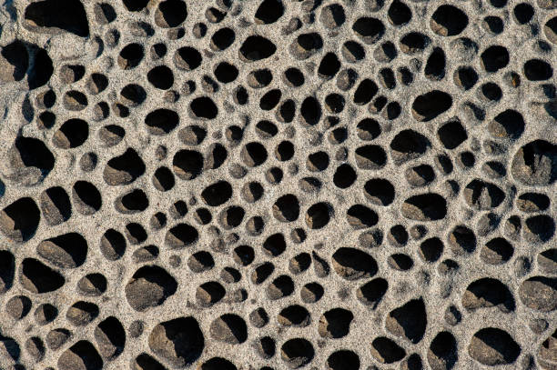 istock Perforated texture of sandstone on the seashore 2156152907
