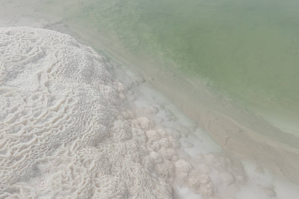 istock Dead Sea. Beautiful pattern made of natural salt 2156153682