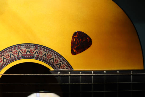 Details of electric guitars