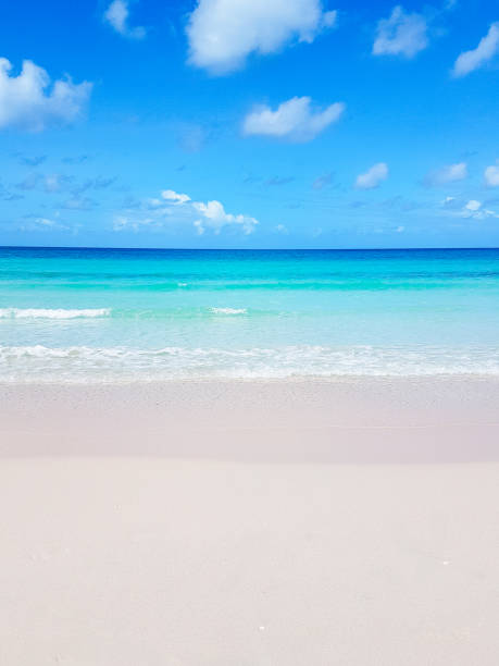 Beautiful summer beach and turquoise tropical sea. summer background