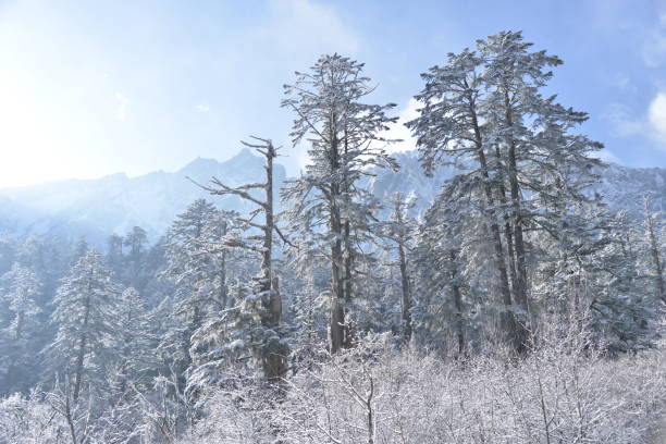 istock Mountain with forest in snowy day 2156164574