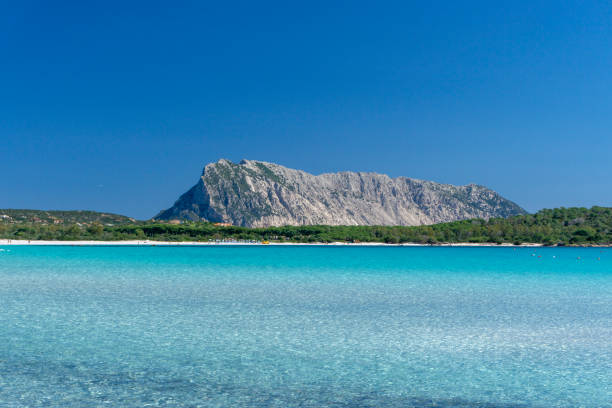istock lu Impostu beach with crystal clear water and white sand, with Tavolara Island in the background, San Teodoro, Sardinia, Italy 2156164607