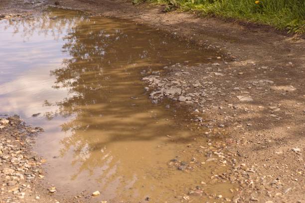 A large muddy puddle in a dirt road.
