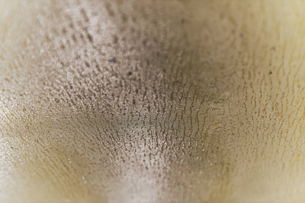 Warm wall color. Copy space. Little texture, small contrast. Natural texture, old wall