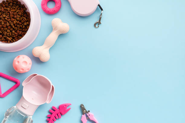 istock Colorful array of pet supplies on a blue backdrop, perfect for articles on pet care essentials. 2156170770
