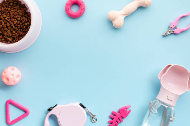 istock Colorful pet accessories arranged on a blue background, perfect for articles on pet care essentials. 2156170886