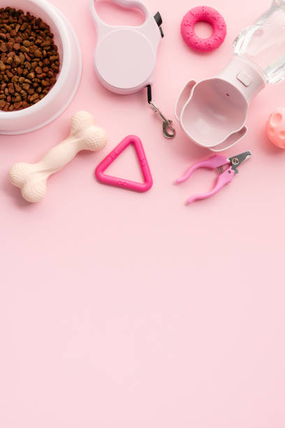 istock Pet care essentials, including toys and grooming tools on a pink backdrop. Ideal for pet-related content. 2156171083