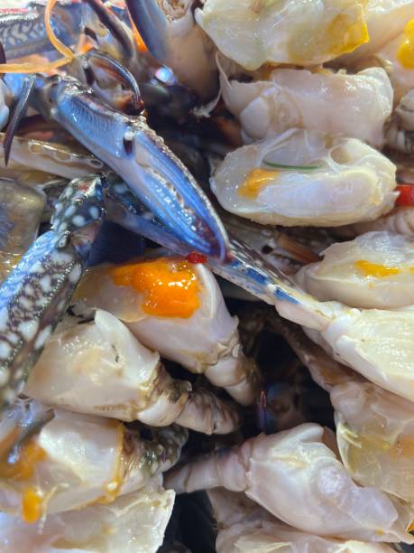 istock close up pickled fresh raw crabs at seafood market. 2156171434
