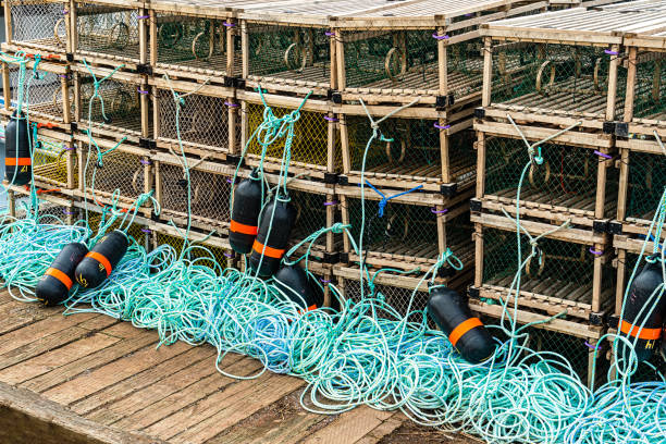 Lobster traps stacked neatly on a pier in Nova Scotia. Tangled ropes and buoy markers hint at a long day's work.