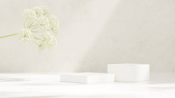 istock Background 3D rendering minimalist white podium and peucedanum rablense flower for product presentation in landscape 2156172920