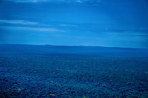 Beautiful landscape seen from above. The photo was taken using a telephoto lens. The landscape is located in the city of Foz do Iguazu, State of Paraná in Brazil.