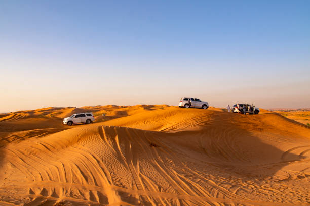 istock Safari in the desert at sunset 2156175181